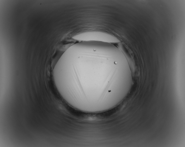 X0000084600264200703231933