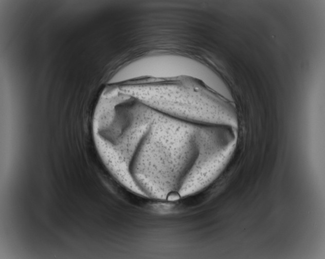 X0000084600265200703231933