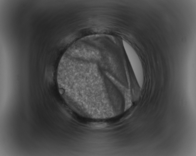 X0000084600266200703231933