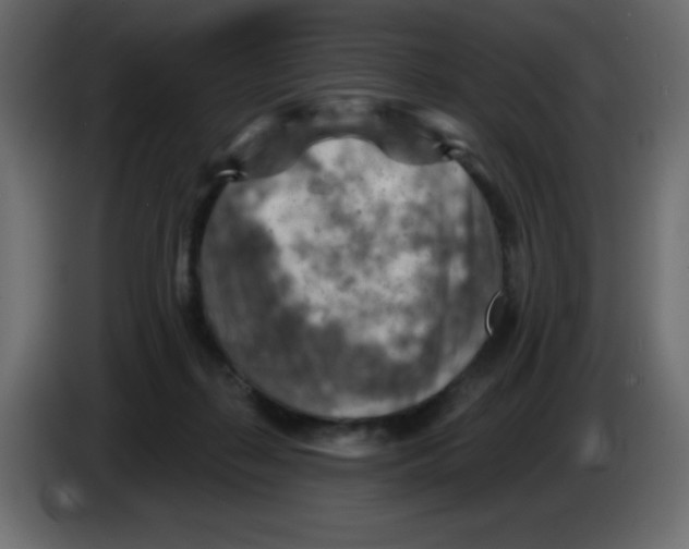 X0000084600267200703231933