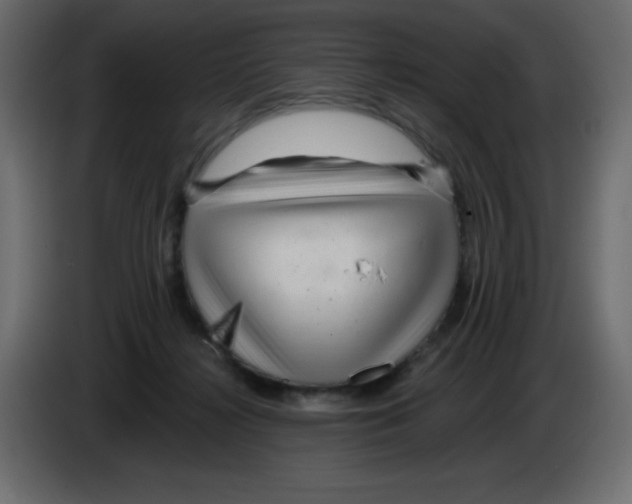 X0000084600268200703231933