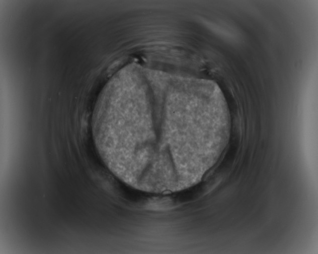 X0000084600271200703231933