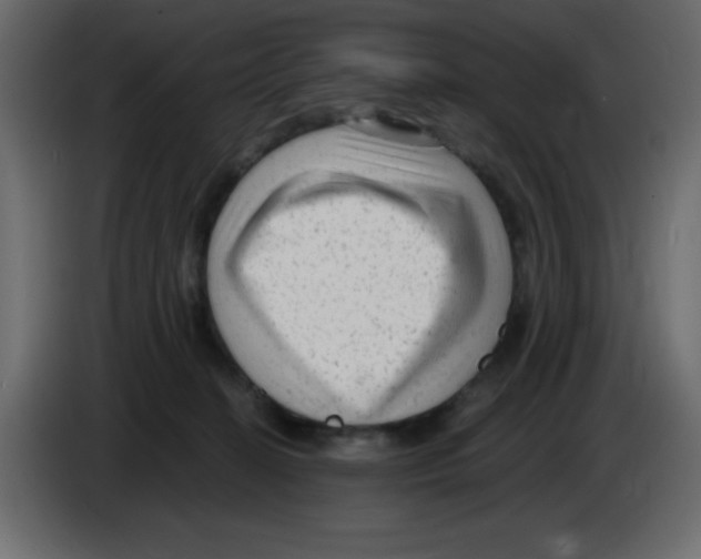 X0000084600274200703231933