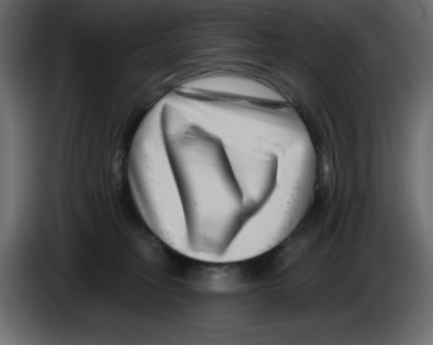 X0000084600275200703231933