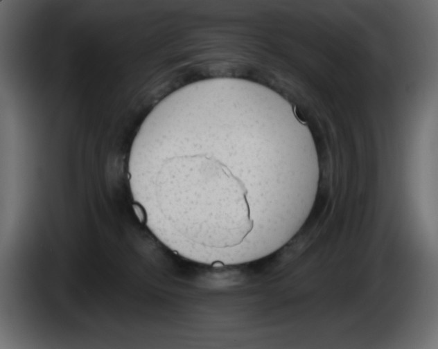 X0000084600278200703231933