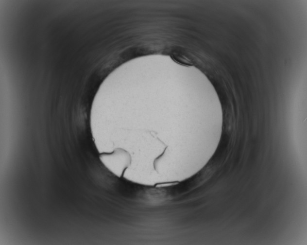 X0000084600279200703231933