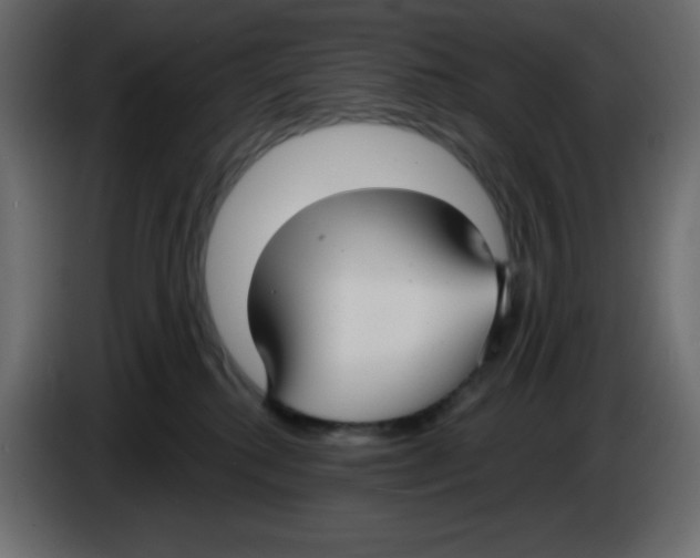 X0000084600280200703231933