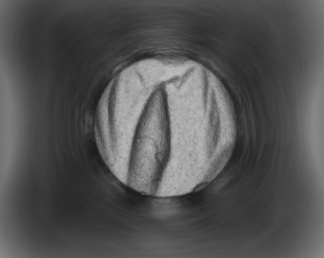 X0000084600281200703231933