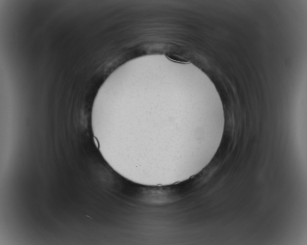 X0000084600282200703231933