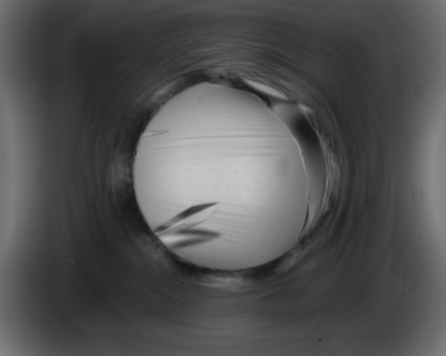 X0000084600284200703231933
