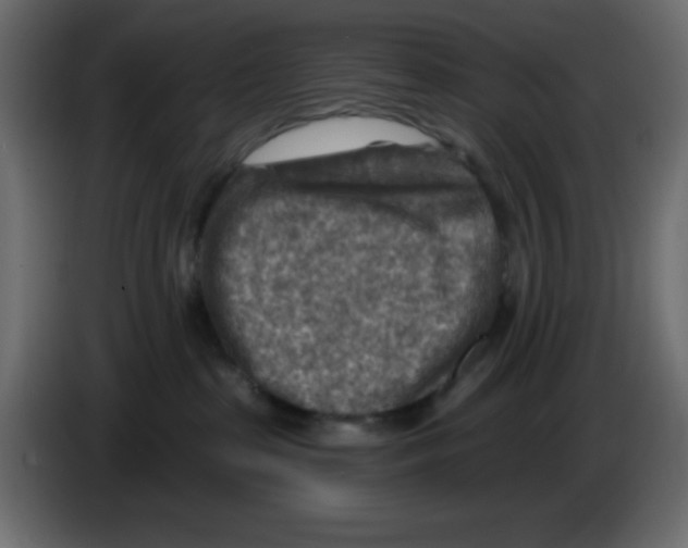 X0000084600285200703231933