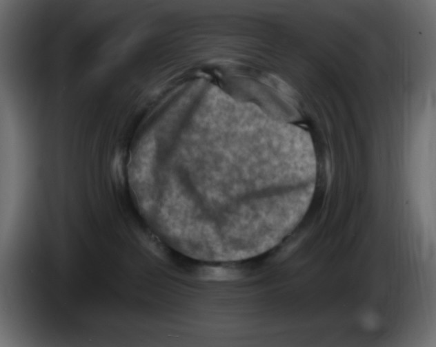 X0000084600286200703231933