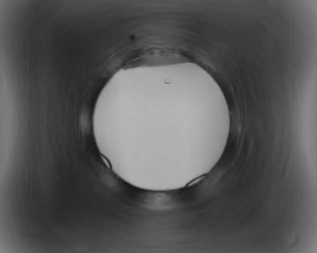 X0000084600287200703231933