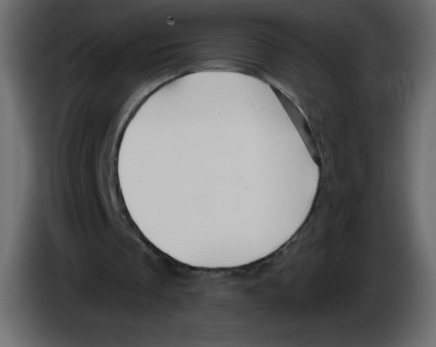 X0000084600289200703231933