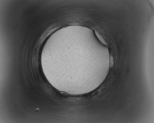 X0000084600291200703231933