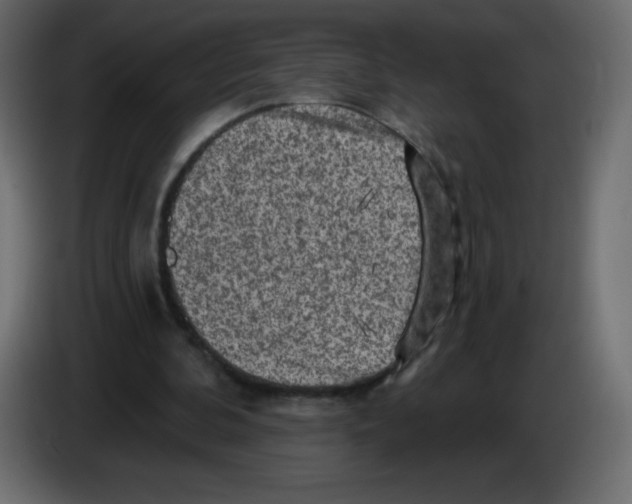 X0000084600292200703231933