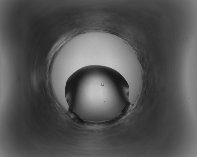 X0000084600293200703231933