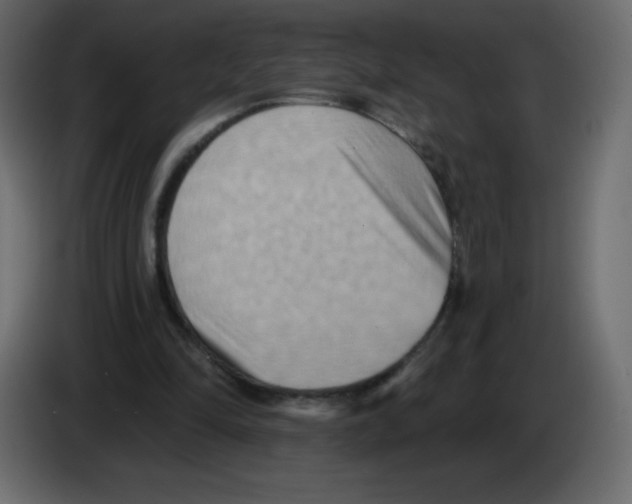 X0000084600294200703231933