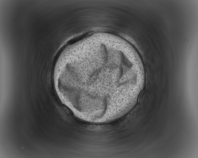 X0000084600297200703231933