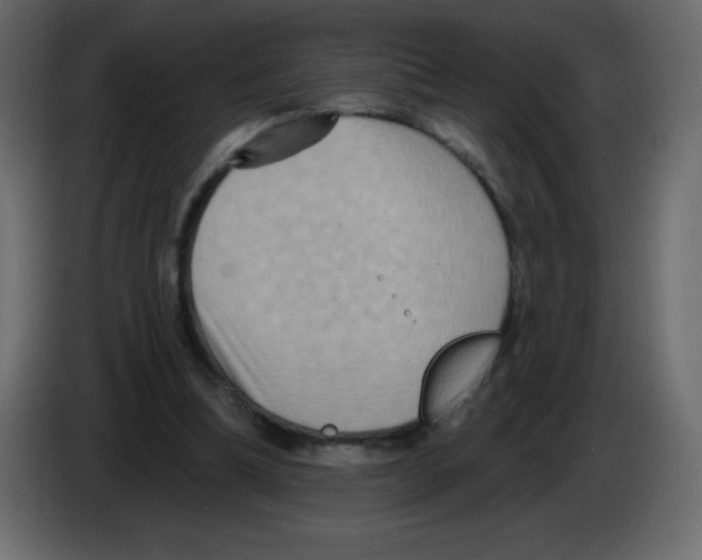 X0000084600298200703231933