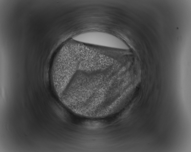 X0000084600299200703231933