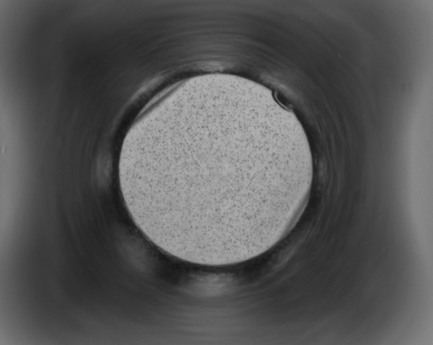 X0000084600304200703231932