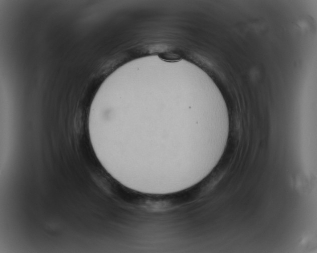 X0000084600311200703231932