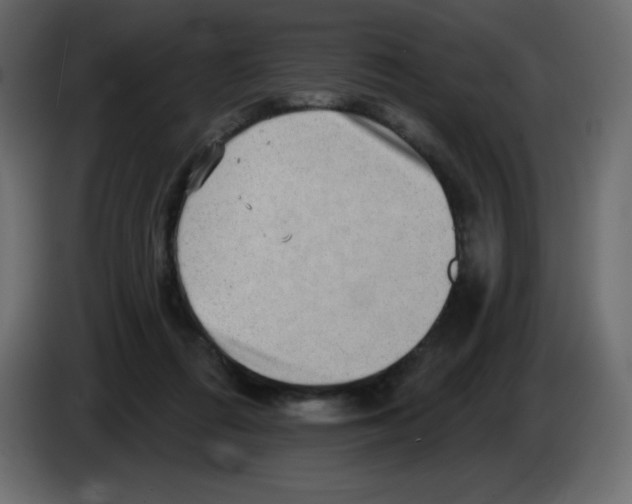 X0000084600312200703231932