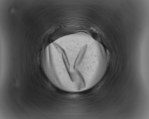 X0000084600313200703231932