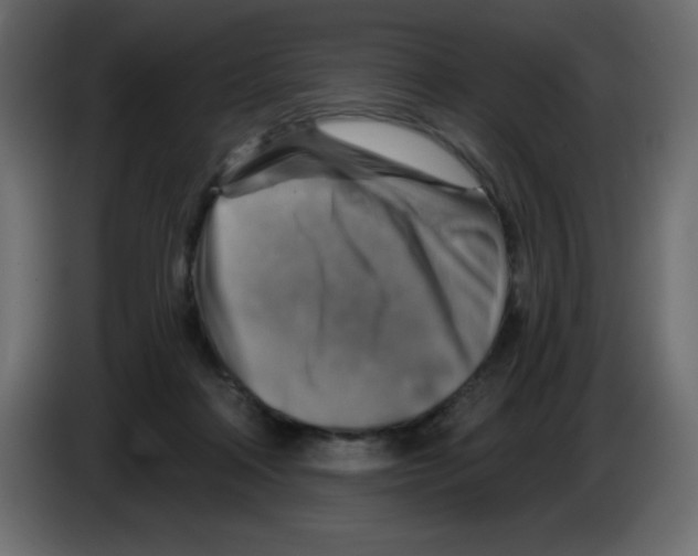 X0000084600314200703231932