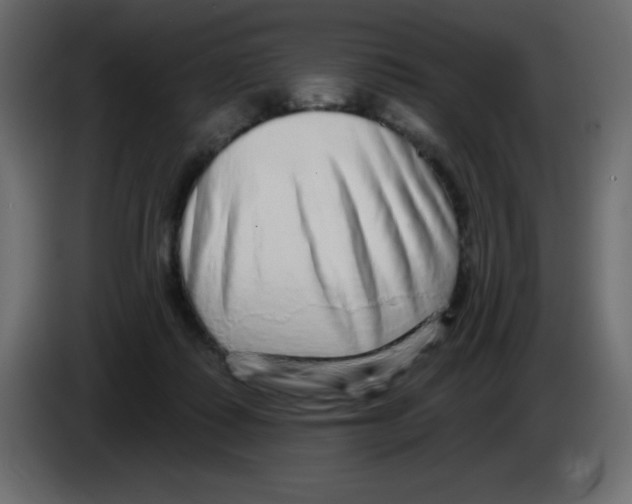 X0000084600315200703231932