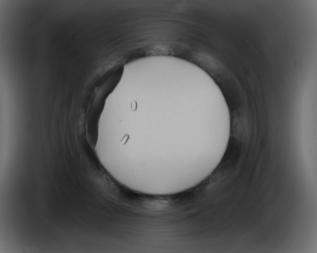 X0000084600318200703231932