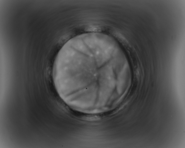 X0000084600322200703231932