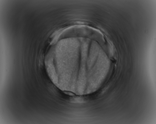 X0000084600325200703231932