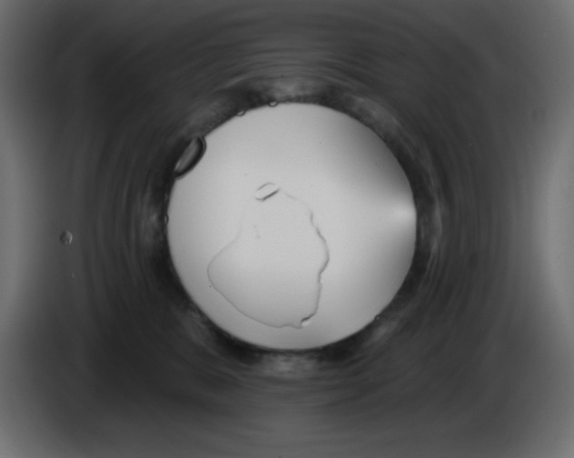 X0000084600327200703231932