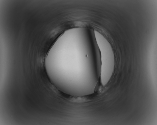 X0000084600329200703231932