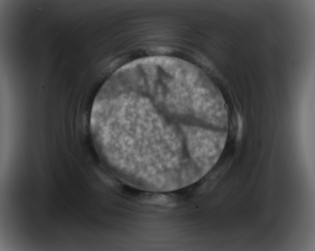 X0000084600330200703231932