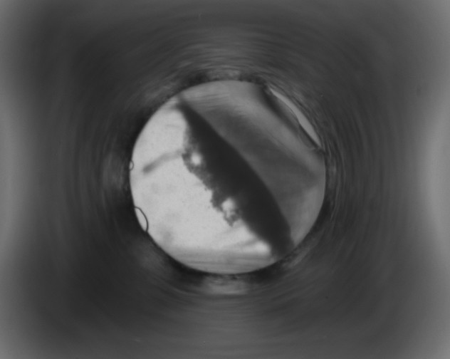 X0000084600331200703231932