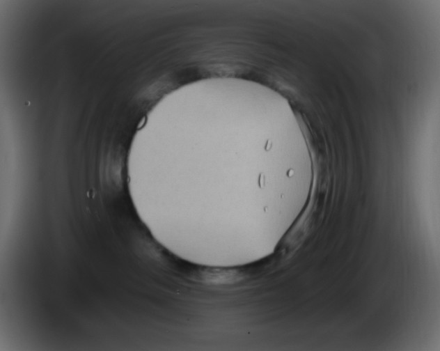 X0000084600334200703231932