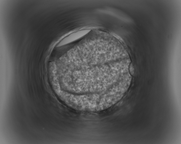 X0000084600337200703231931