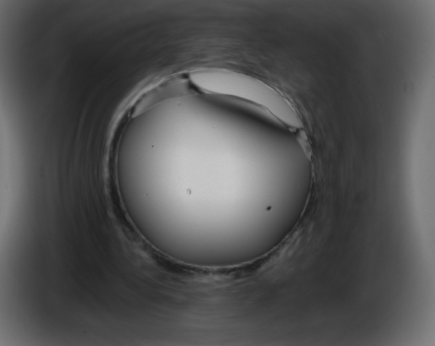 X0000084600340200703231931