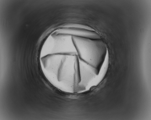 X0000084600341200703231931