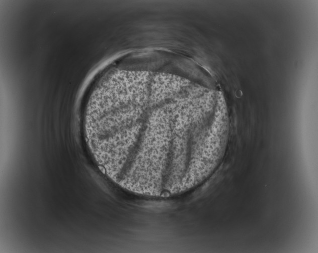 X0000084600342200703231931