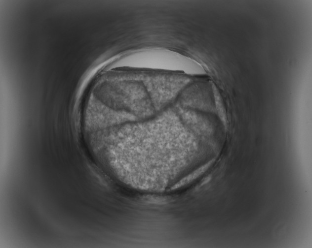 X0000084600343200703231931