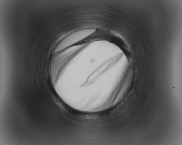 X0000084600345200703231931