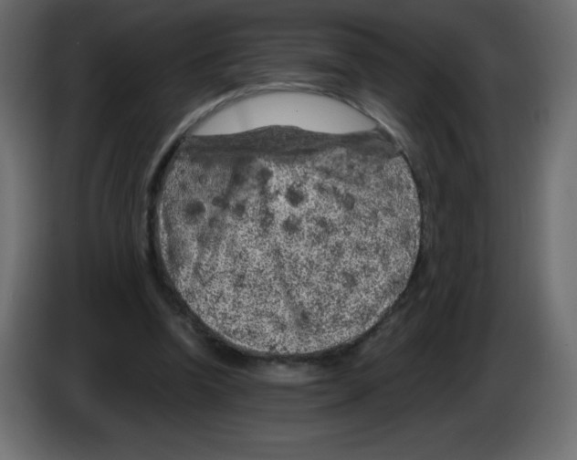 X0000084600346200703231931