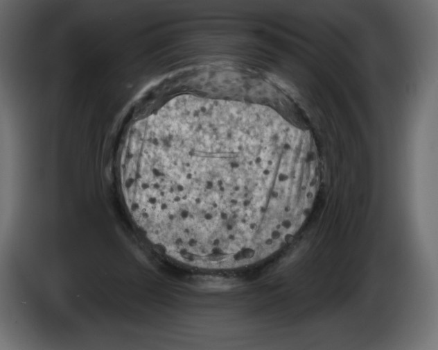 X0000084600347200703231931