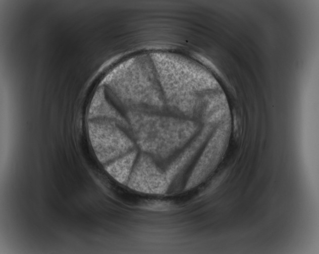 X0000084600348200703231931