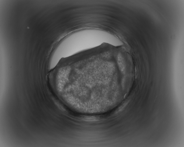 X0000084600349200703231932