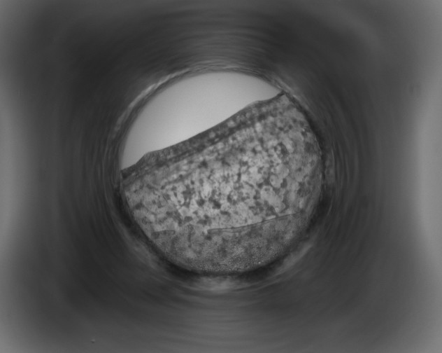 X0000084600351200703231932